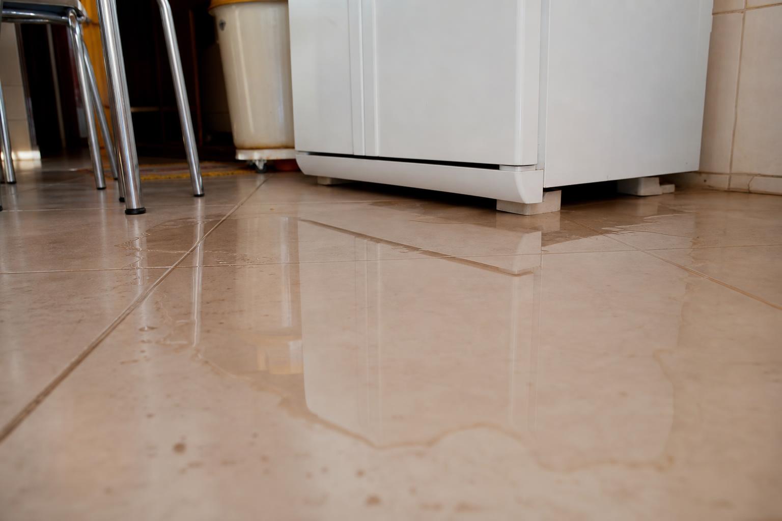 Poça de água no piso embaixo da geladeira, indicando vazamento pelo dreno ou pela bandeja