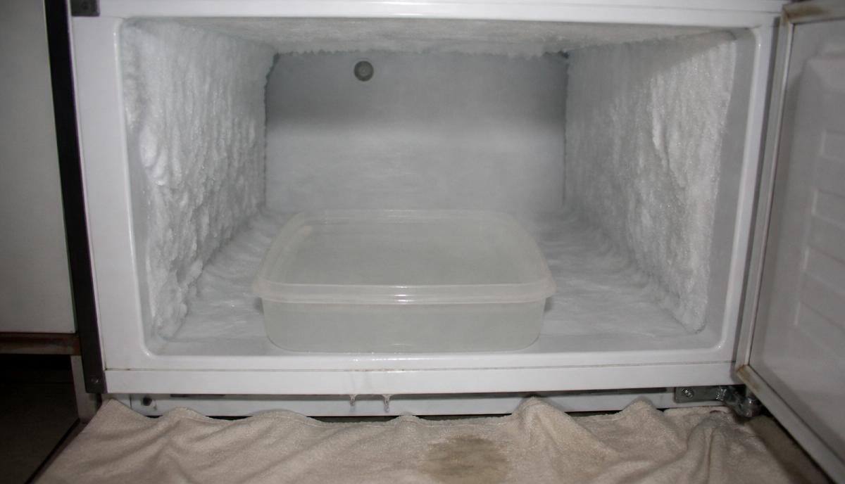 Bacia com água morna colocada dentro do freezer para acelerar o degelo com segurança